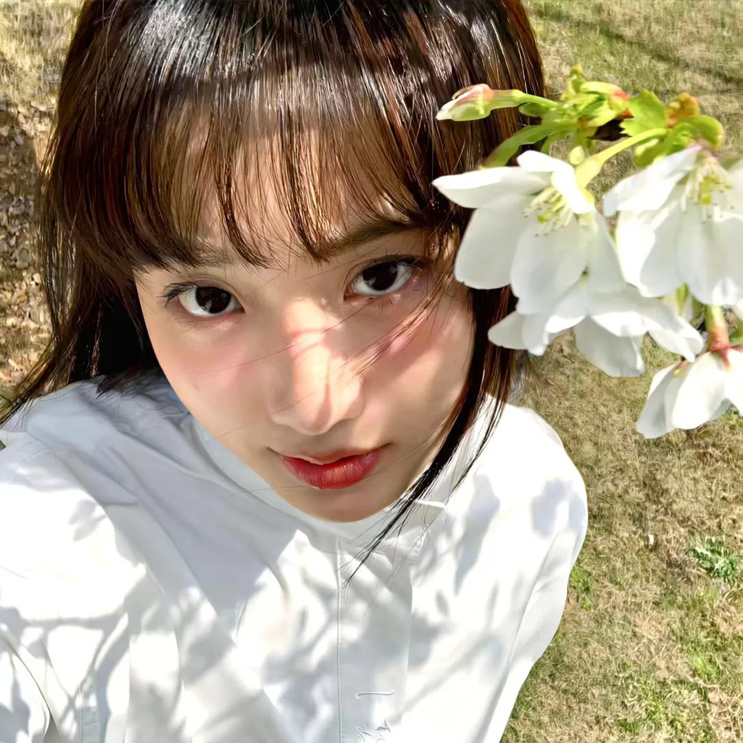 那年那人那片花海
